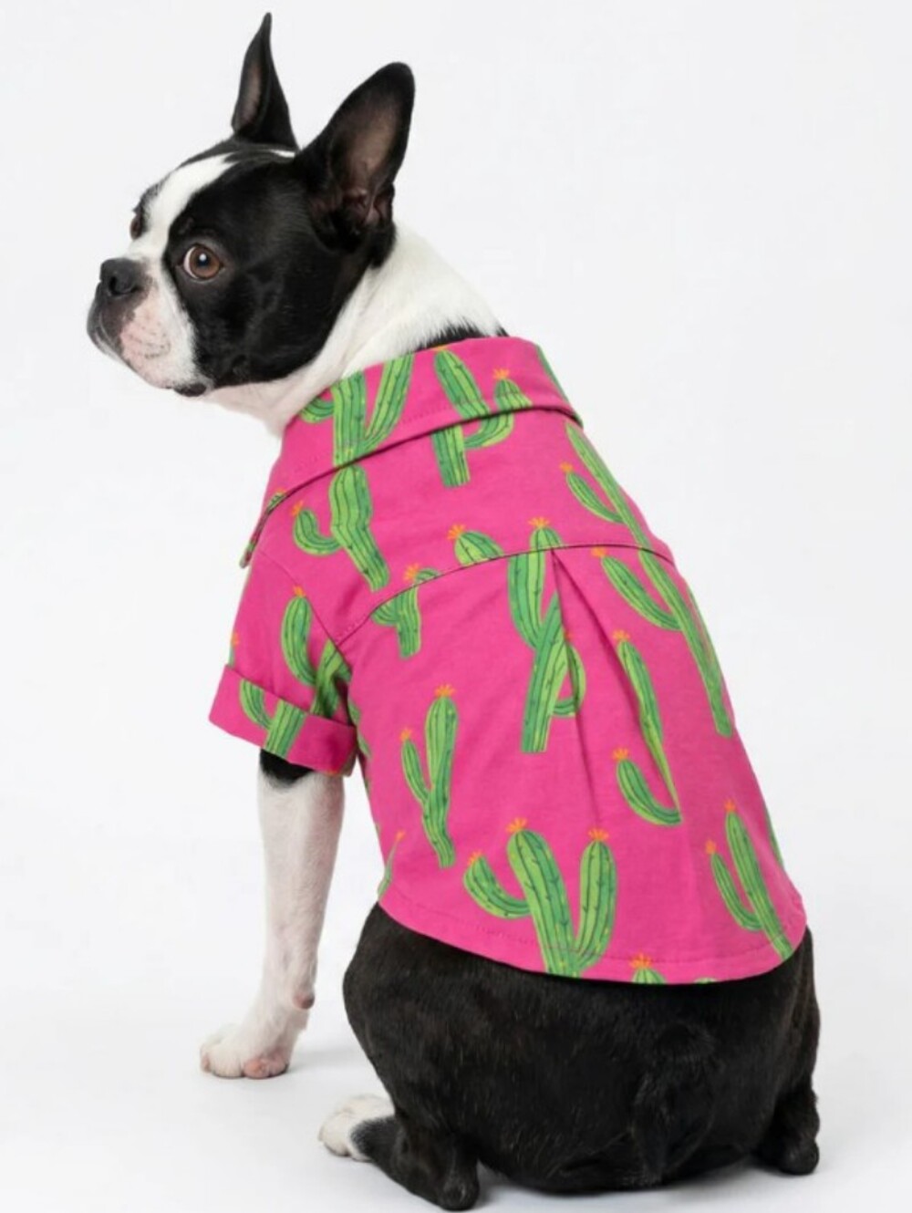Cactus Snap Button-Up 🐶 Dog Fun Shirt SIZE L